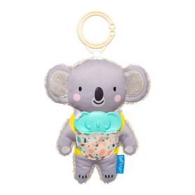 Koala Kimmi