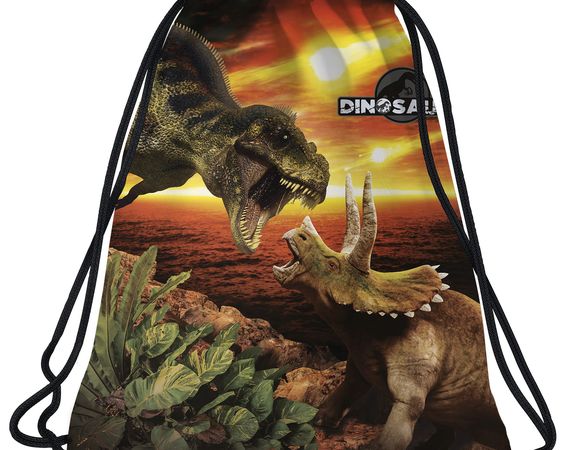 Vrecko na prezuvky Dinosaurus 18