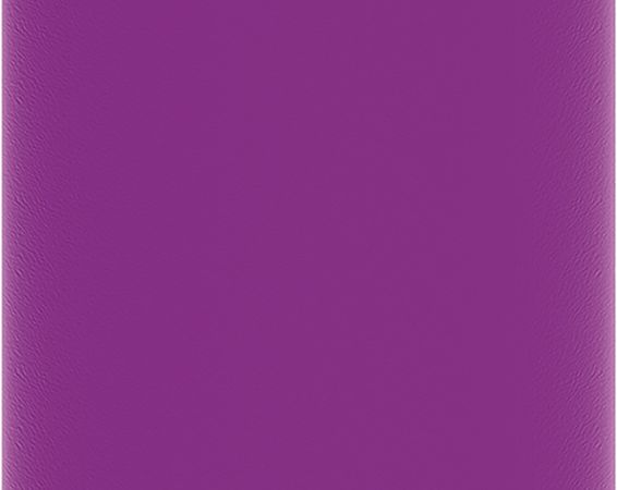 Nerezová termofľaša Solid Purple 630 ml